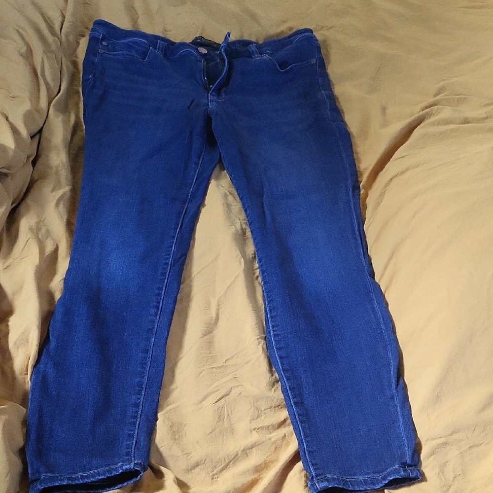 Liverpool Blue Cropped Ankle Jeans
